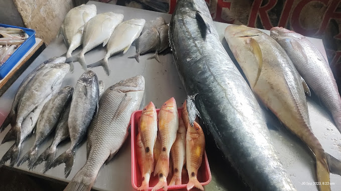 BEE RICH FISH CORNER